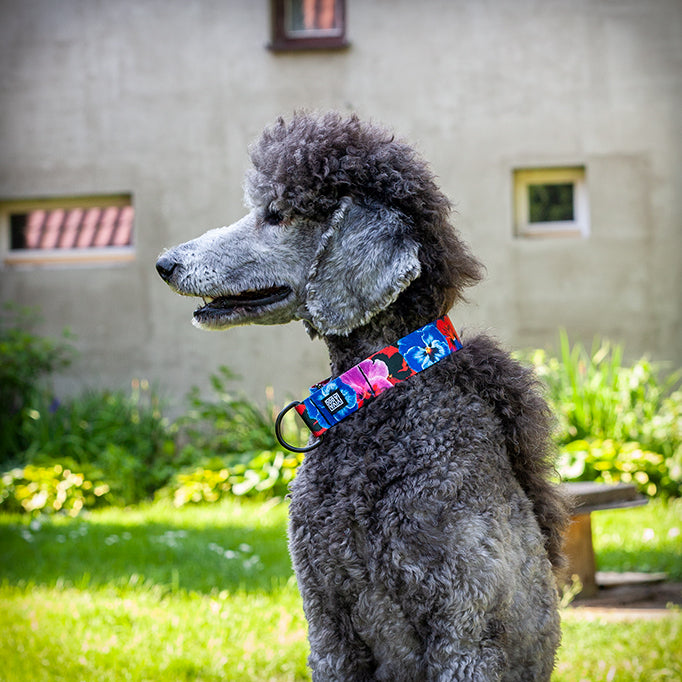 VIVA LA DOG GARDEN -puolikuristava panta