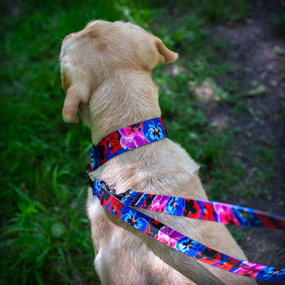 VIVA LA DOG GARDEN -puolikuristava panta